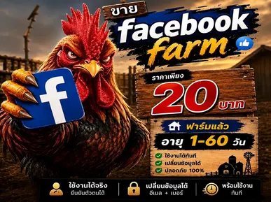 ซื้อ ขายเฟสไก่FARM ราคาถูกสุด 1-60วัน บัญชีโฆษณา Facebook คุณภาพสูง - YINGADS